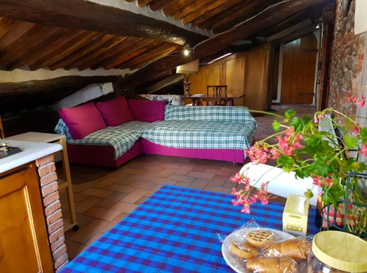 Old Pelleria Apartment Lucca