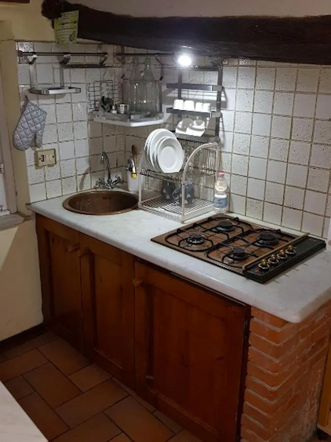 Old Pelleria Apartment Lucca 0*,