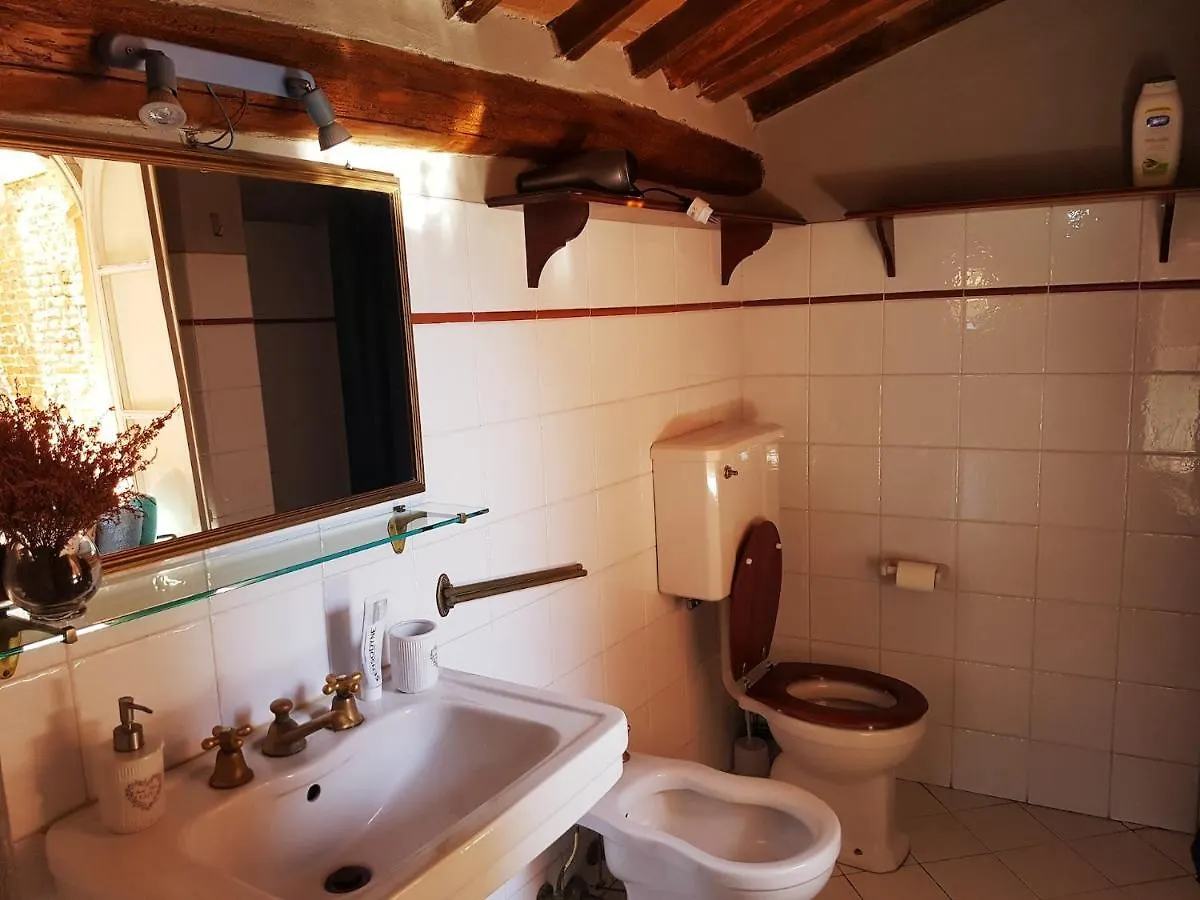 Old Pelleria Apartment Lucca Italy